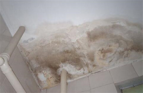 房屋墙壁渗水如何解决 房屋墙壁渗水如何解决