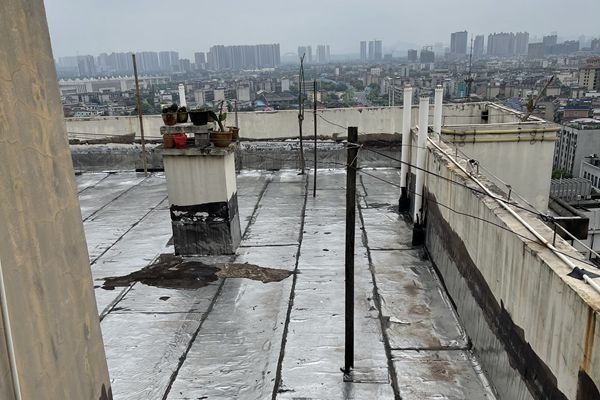 1667444984891131.jpeg 屋顶 (15).jpeg